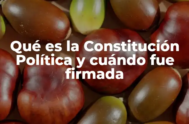 Qué es la Constitución Política y Cuándo Fue Firmada