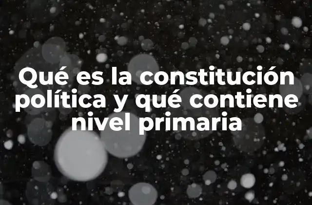Qué es la Constitución Política y Qué Contiene Nivel Primaria