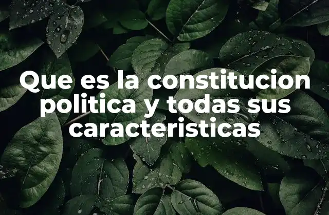 Que es la Constitucion Politica y Todas Sus Caracteristicas