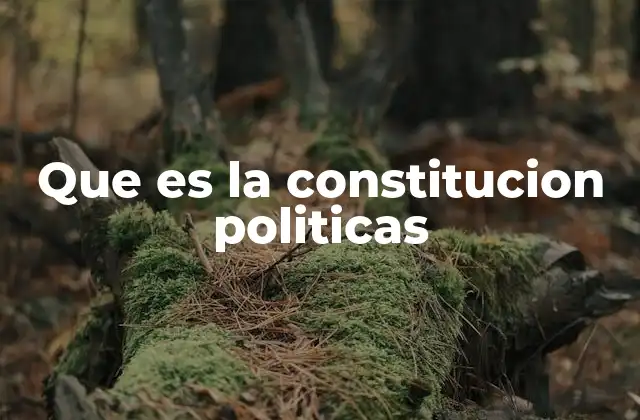 La base legal de la organización política