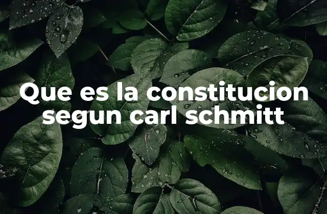 La Constitución como acto fundador del Estado