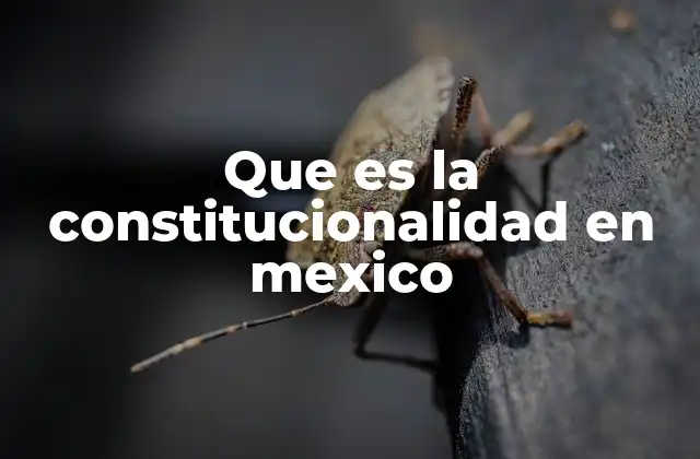 Que es la Constitucionalidad en Mexico
