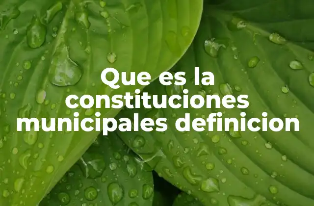 Que es la Constituciones Municipales Definicion