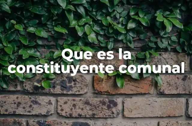 Que es la Constituyente Comunal 2 La participación ciudadana en el diseño constitucional