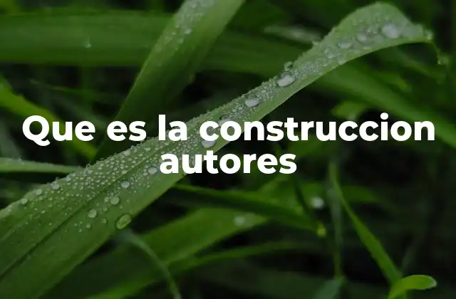 Que es la Construccion Autores