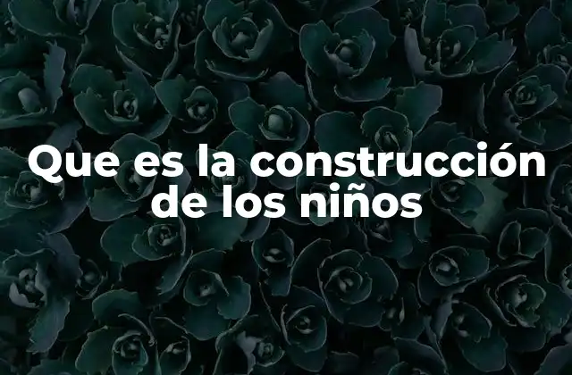 Que es la Construcción de los Niños