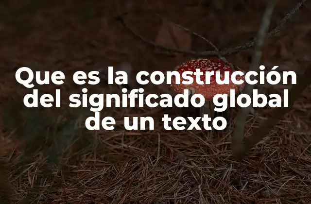 Que es la Construcción Del Significado Global de un Texto