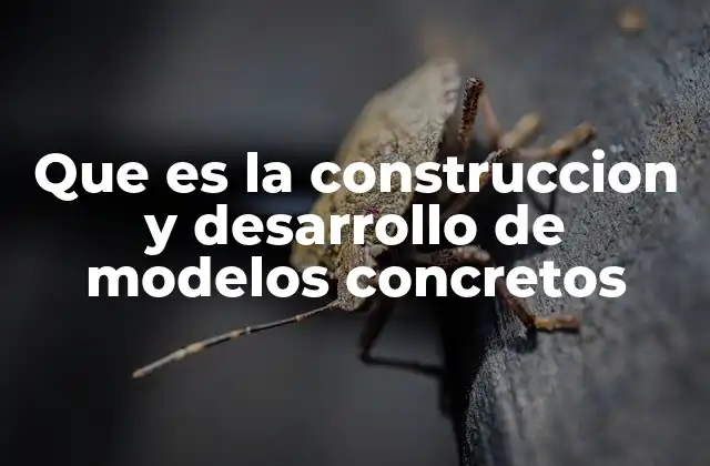 Que es la Construccion y Desarrollo de Modelos Concretos
