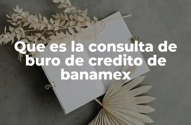 Que es la Consulta de Buro de Credito de Banamex
