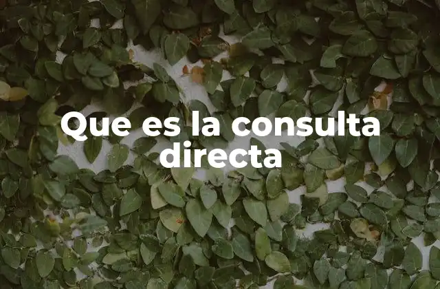 Que es la Consulta Directa