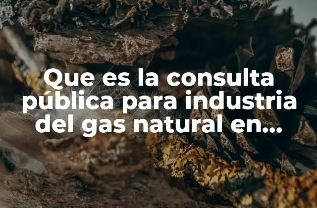 Que es la Consulta Pública para Industria Del Gas Natural en México