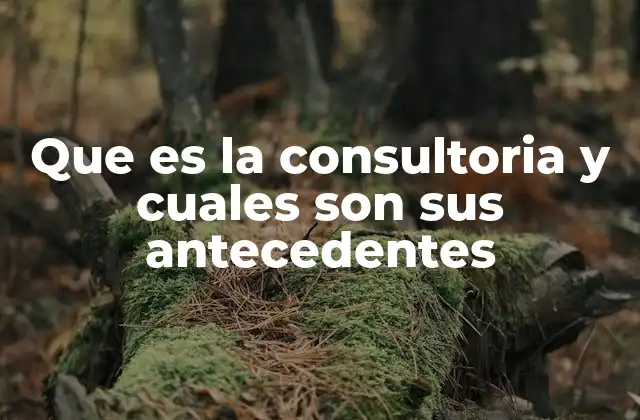 Que es la Consultoria y Cuales Son Sus Antecedentes