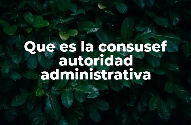 Que es la Consusef Autoridad Administrativa 2 El papel de la Consusef en la salud pública