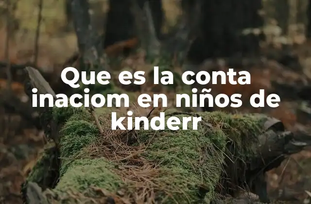 Que es la Conta Inaciom en Niños de Kinderr