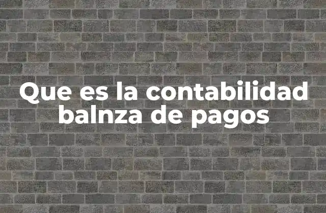 Que es la Contabilidad Balnza de Pagos 2 La importancia de registrar movimientos internacionales
