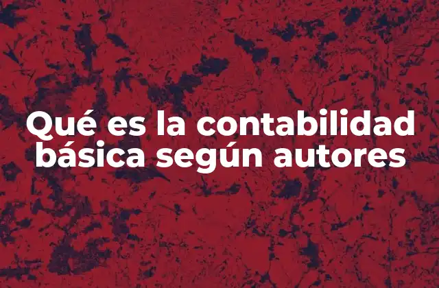 Qué es la Contabilidad Básica según Autores