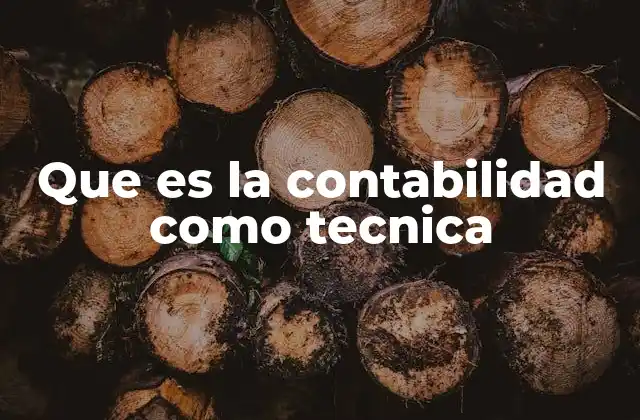 Que es la Contabilidad como Tecnica 2 La importancia de la contabilidad en el desarrollo económico