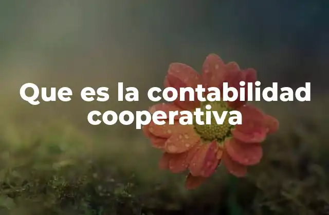 Que es la Contabilidad Cooperativa 2 La importancia de la contabilidad en organizaciones cooperativas