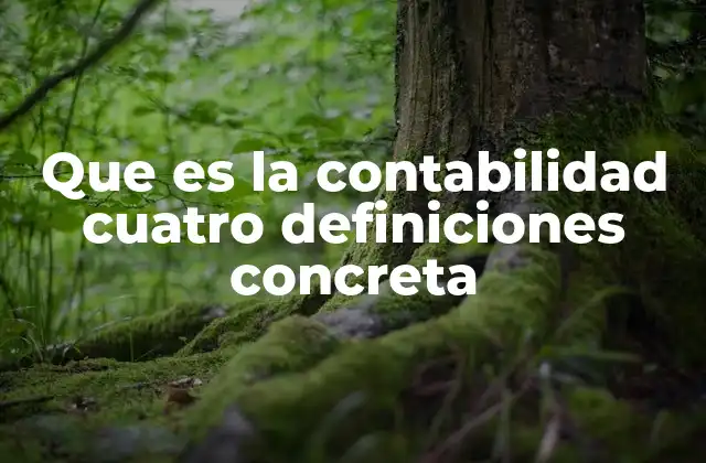 Que es la Contabilidad Cuatro Definiciones Concreta