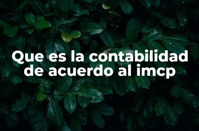 Que es la Contabilidad de Acuerdo Al Imcp
