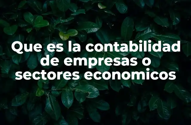 Que es la Contabilidad de Empresas o Sectores Economicos