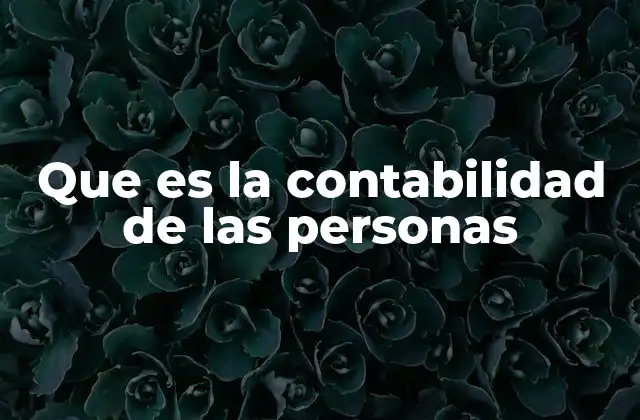 Que es la Contabilidad de las Personas