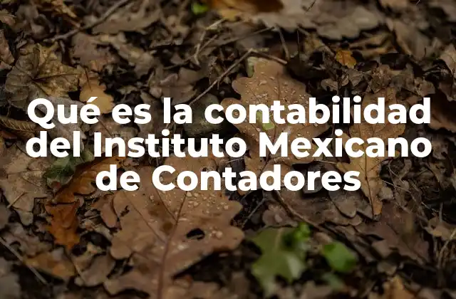 Qué es la Contabilidad Del Instituto Mexicano de Contadores