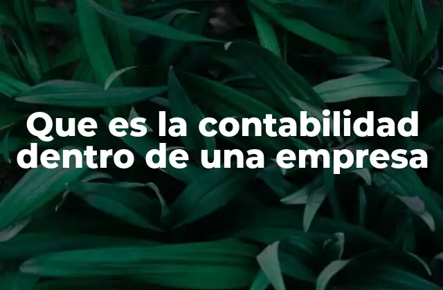 Que es la Contabilidad Dentro de una Empresa 2 La importancia de la contabilidad en el desarrollo empresarial