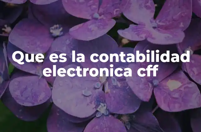 Que es la Contabilidad Electronica Cff 2 La importancia de la contabilidad electrónica en el entorno empresarial
