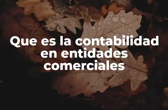 Que es la Contabilidad en Entidades Comerciales