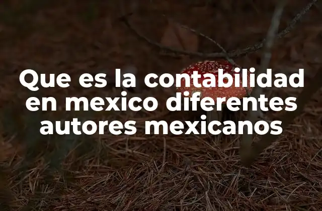 Que es la Contabilidad en Mexico Diferentes Autores Mexicanos