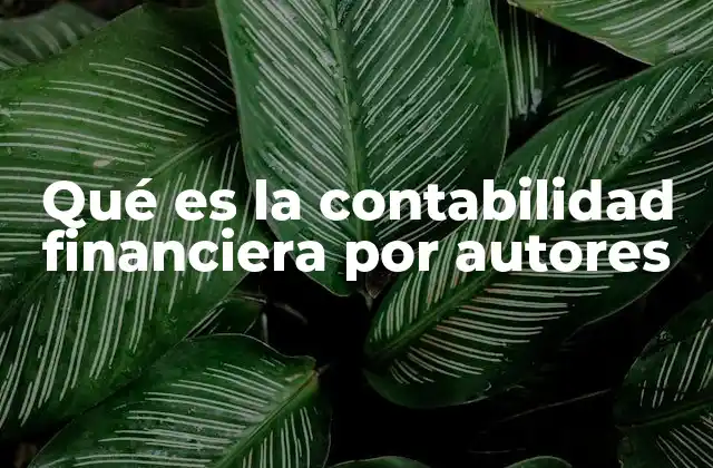 Qué es la Contabilidad Financiera por Autores