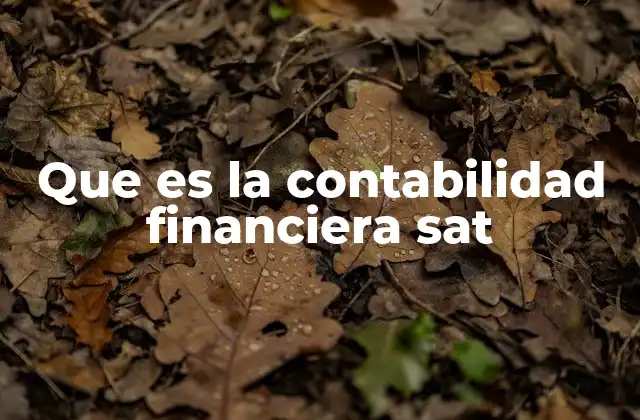 Importancia de la contabilidad financiera en el contexto fiscal