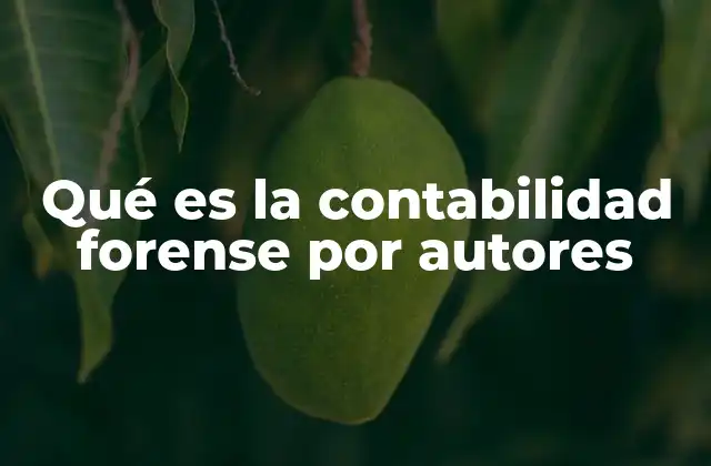 La importancia de la contabilidad forense en el entorno legal