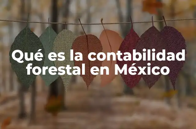 Qué es la Contabilidad Forestal en México