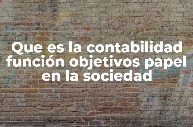 Que es la Contabilidad Función Objetivos Papel en la Sociedad