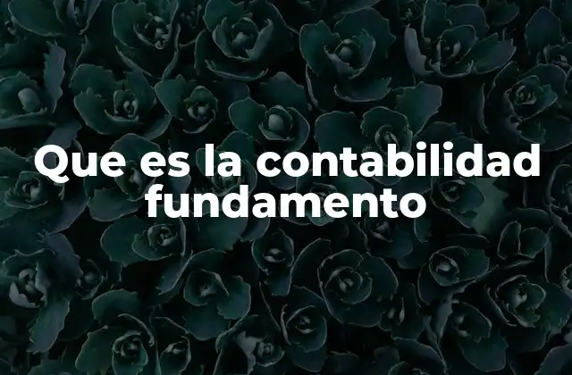 Que es la Contabilidad Fundamento