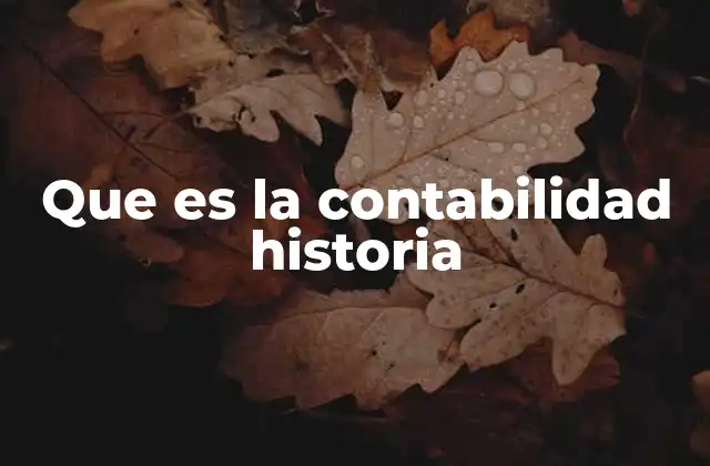 Que es la Contabilidad Historia