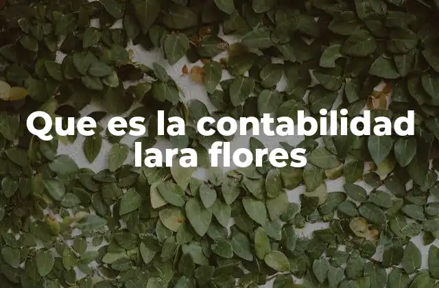 La importancia de sistemas contables como Lara Flores