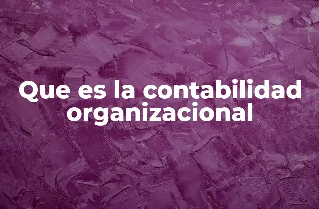 Que es la Contabilidad Organizacional