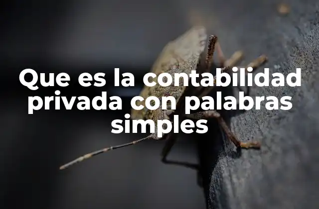 Que es la Contabilidad Privada con Palabras Simples 2 Cómo se diferencia la contabilidad privada de otras formas de contabilidad