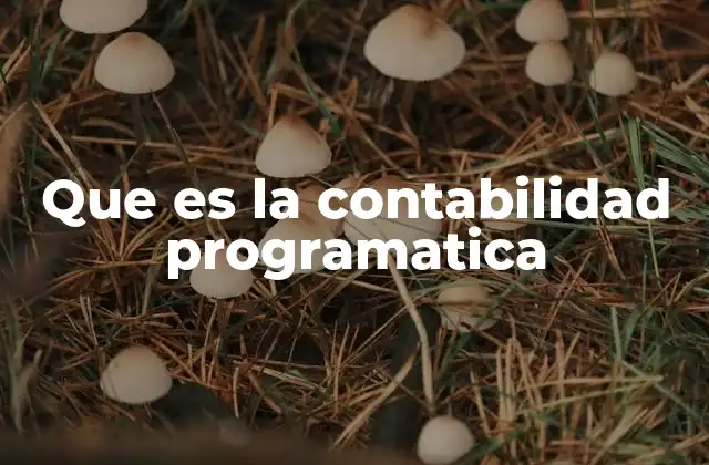 Que es la Contabilidad Programatica