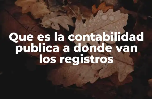 La estructura de los registros contables en entidades públicas