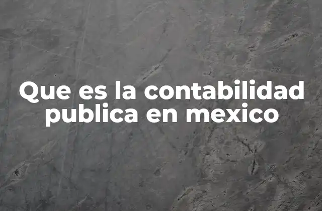 Que es la Contabilidad Publica en Mexico
