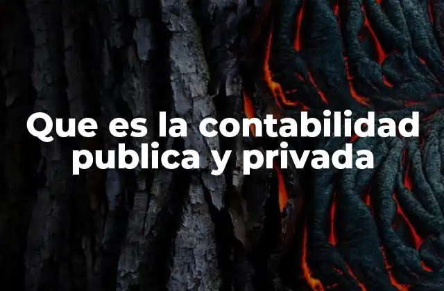 Que es la Contabilidad Publica y Privada
