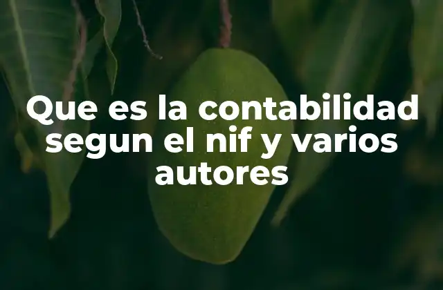 Que es la Contabilidad Segun el Nif y Varios Autores