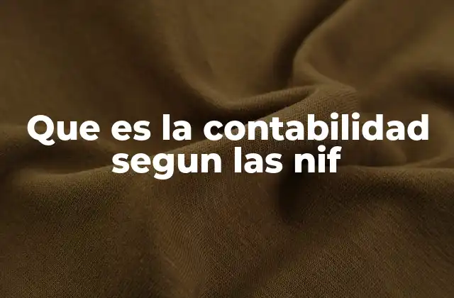 Que es la Contabilidad Segun las Nif