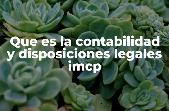 El papel del IMCP en la regulación de la contabilidad en México