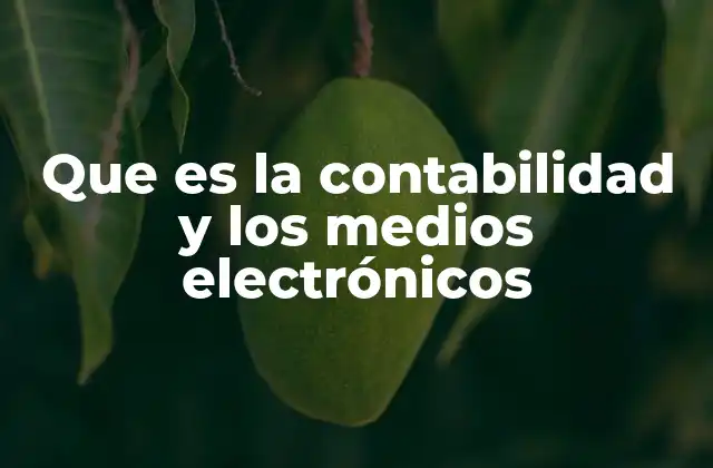 Que es la Contabilidad y los Medios Electrónicos