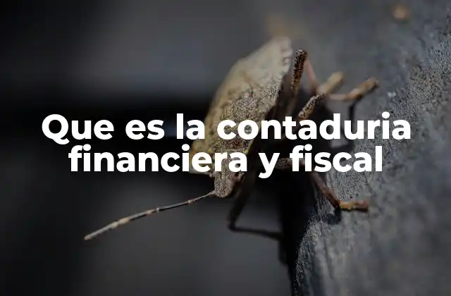 Que es la Contaduria Financiera y Fiscal